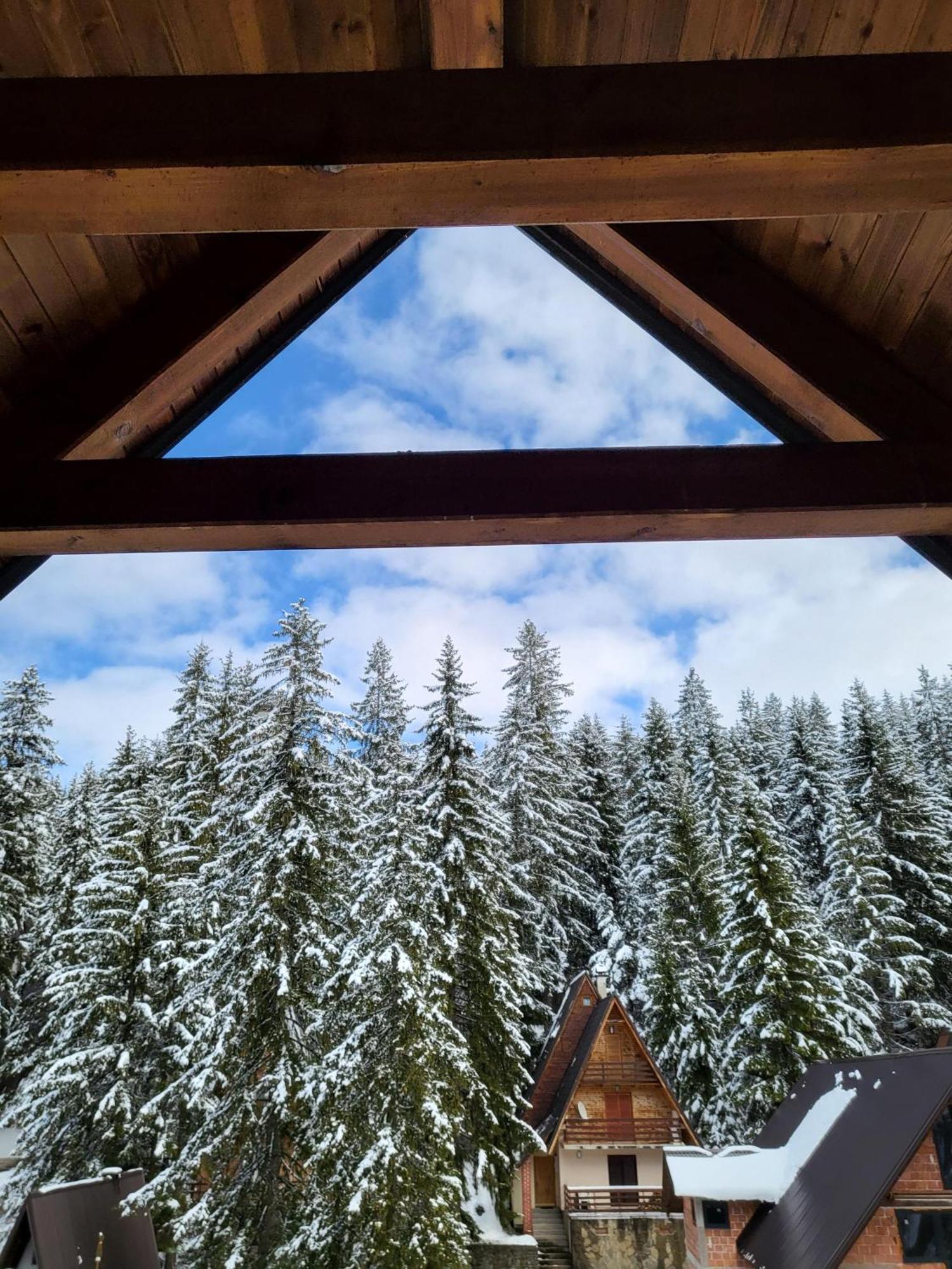 Cozy Vlašić